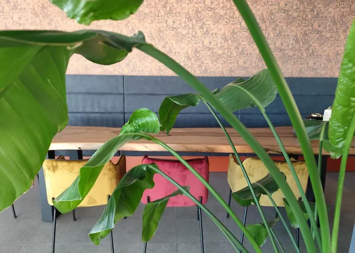 فندق Sporting 4*